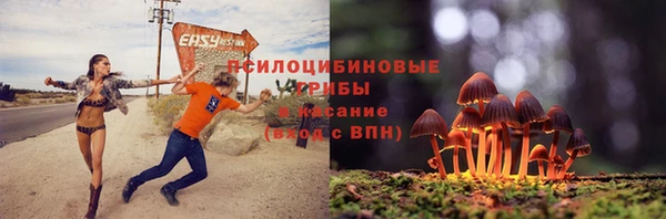 дживик Кукмор