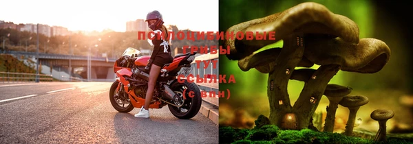 дживик Кукмор