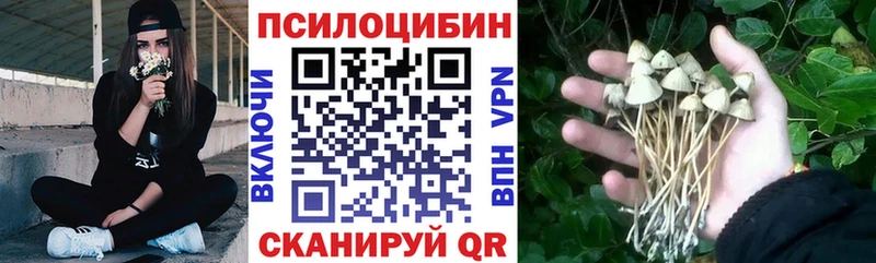 Псилоцибиновые грибы Magic Shrooms  Купить  Наро-Фоминск 