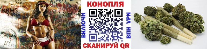 Купить где  Наро-Фоминск  Каннабис ГИДРОПОН 